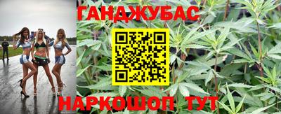 прущие грибы Кулебаки