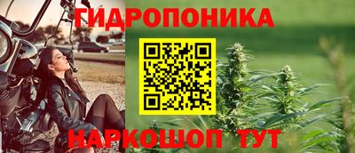 прущие грибы Кулебаки