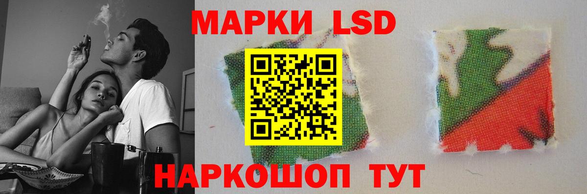 APVP Каменка