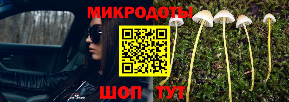 Каменка  Галлюциногенные грибы MAGIC MUSHROOMS  Вход с VPN  Галлюциногенные грибы прущие грибы 